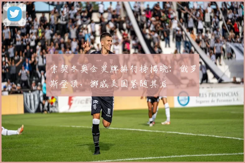 索契冬奥会奖牌排行榜揭晓：俄罗斯登顶，挪威美国紧随其后