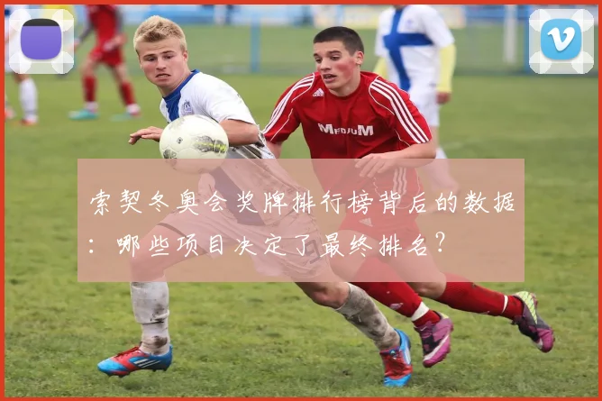 索契冬奥会奖牌排行榜背后的数据：哪些项目决定了最终排名？