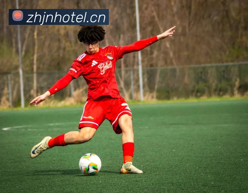 半岛在线登录首页服务体系